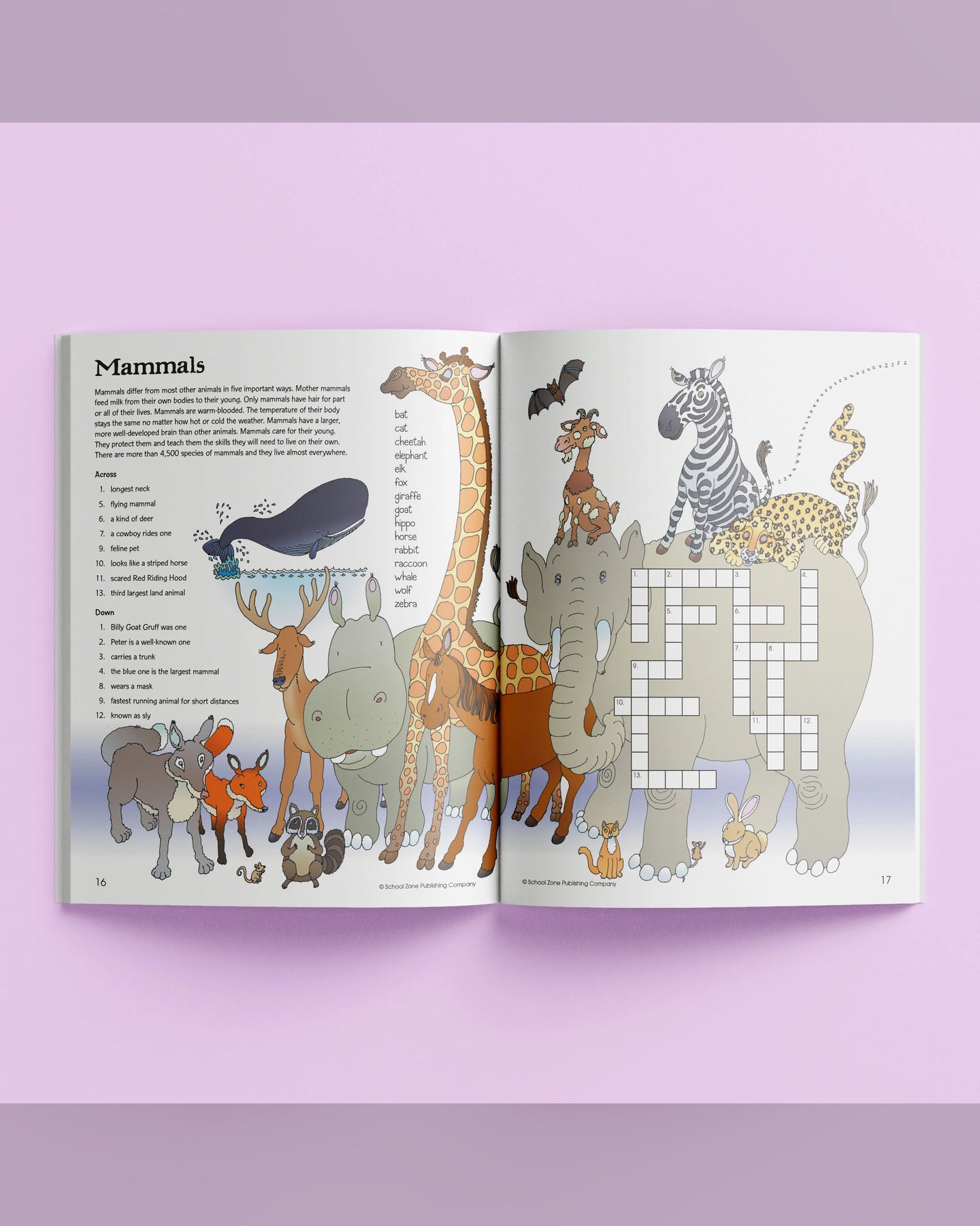 School Zone Activity Zone Crosswords Workbook-3
