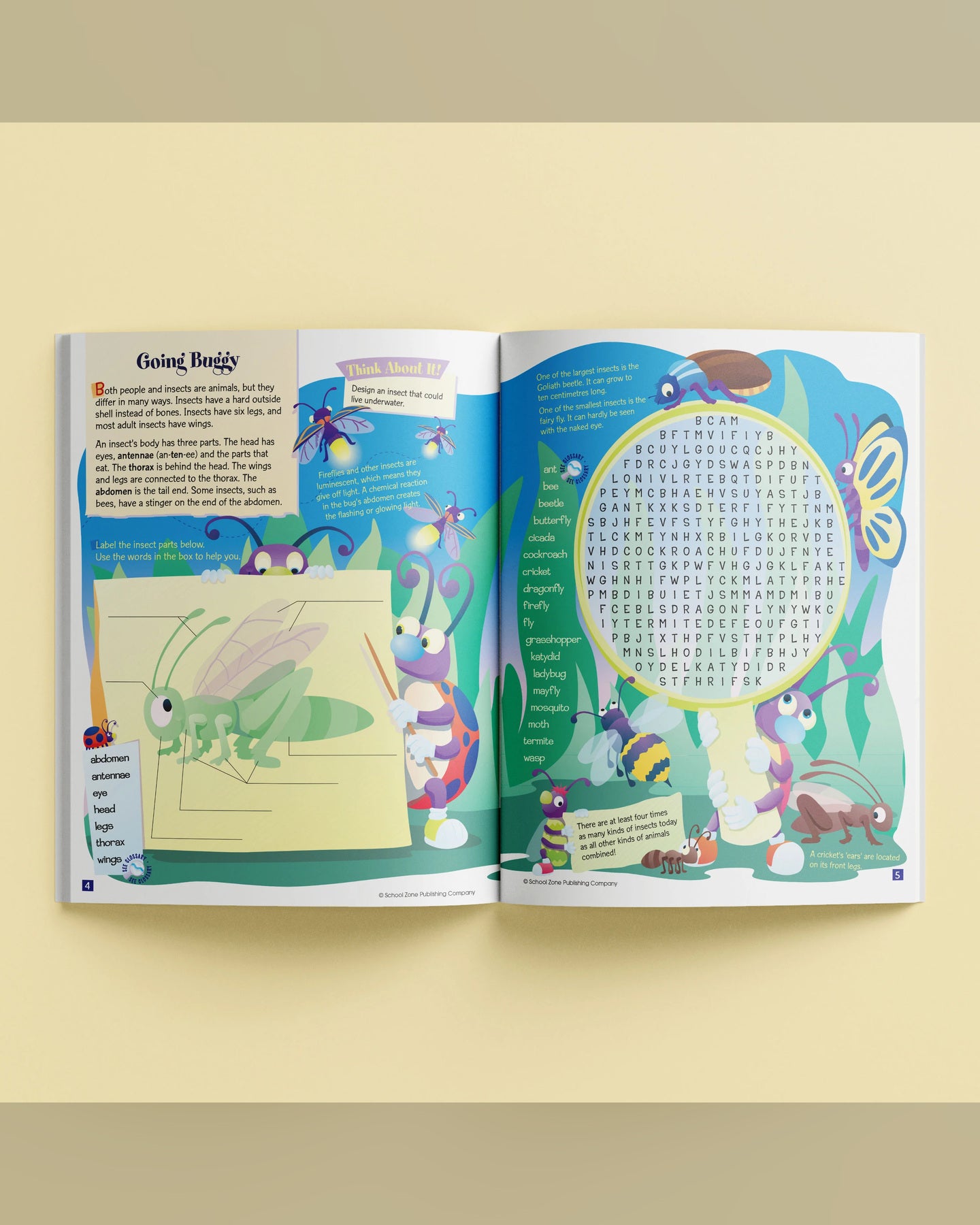 School Zone Activity Zone Word Searches Workbook-1