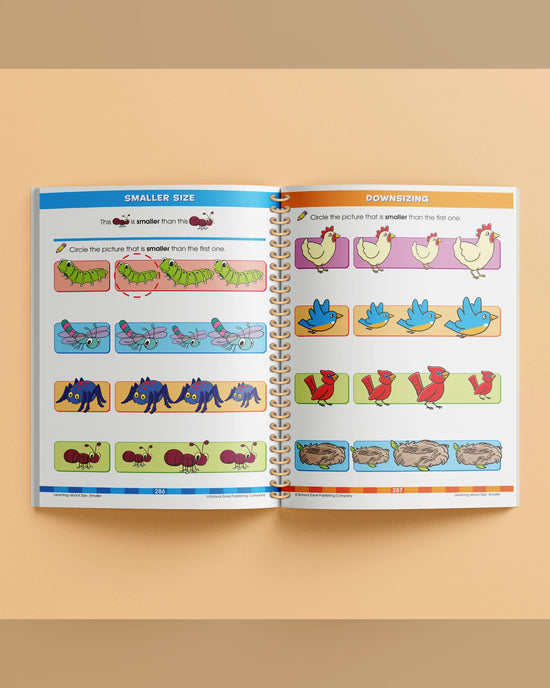 School Zone Big Spiro Workbook Kindergarten