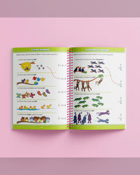 School Zone Big Spiro Maths Workbook-2