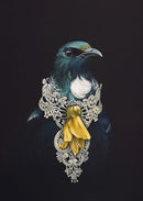 she-of-the-kowhai-tree