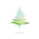 silver-fern