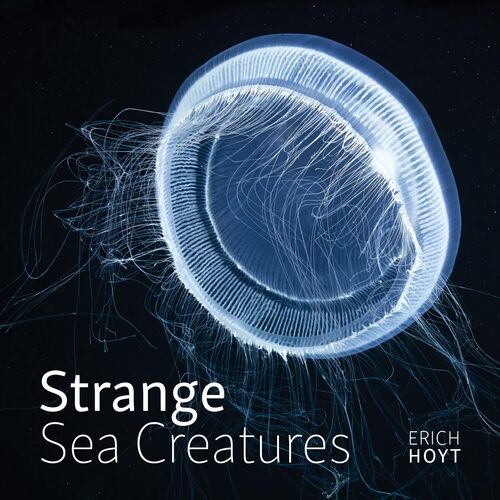 strange-sea-creatures