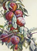 plums-svetlana-orinko