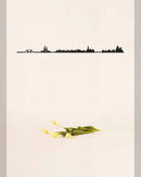 TheLine Amsterdam