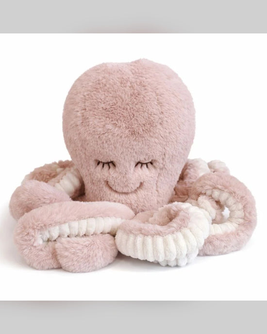 Tilly the Octopus