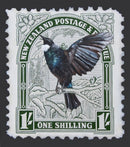 tui-and-white-kakabeak