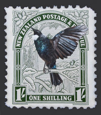 tui-and-white-kakabeak