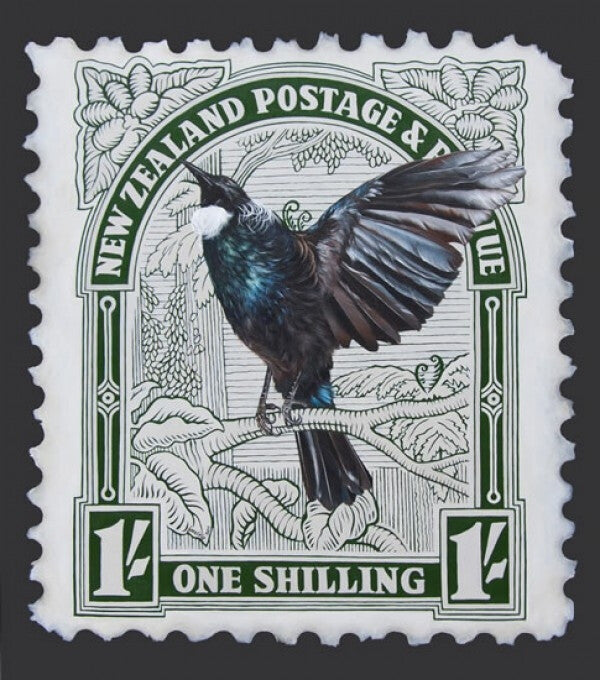 tui-and-white-kakabeak