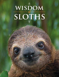 wisdom-of-sloths
